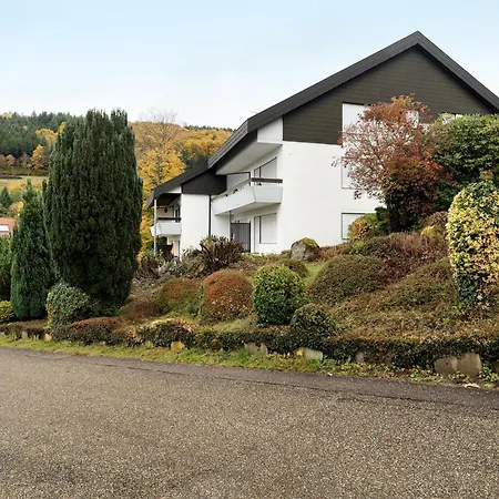 Fischer Am Bischenberg 아파트 사스바흐발덴